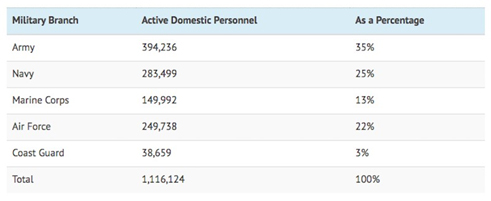 active domestic personnel